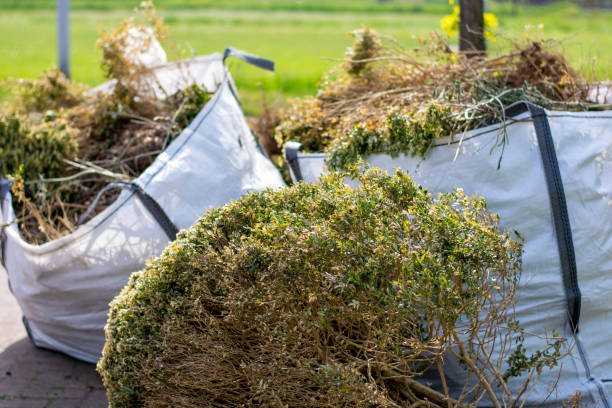 Best Same-Day Junk Removal  in Jackson, KY