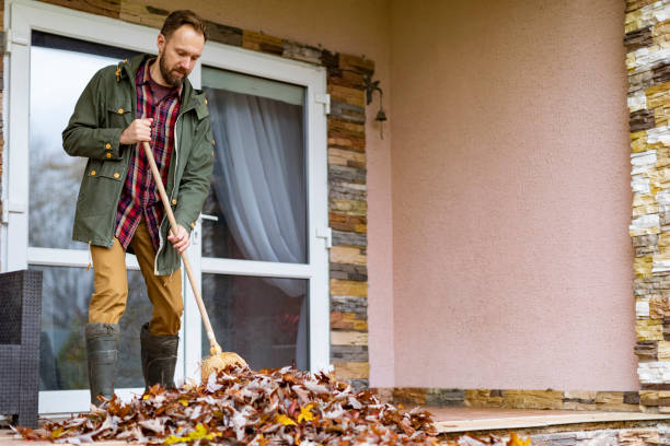 Best Affordable Junk Removal Services  in Jackson, KY